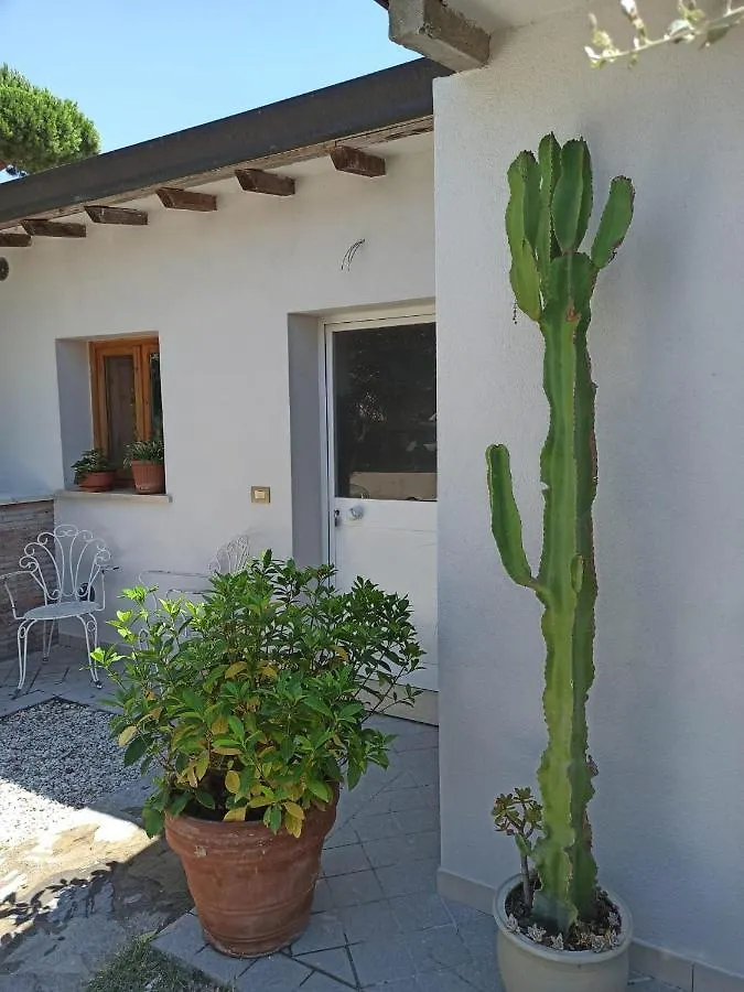 Appartamento Casa La Gardenia Torre del Lago Puccini